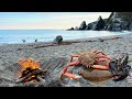 Catching Crabs and Lobsters by hand and Wild Beach Cooking!