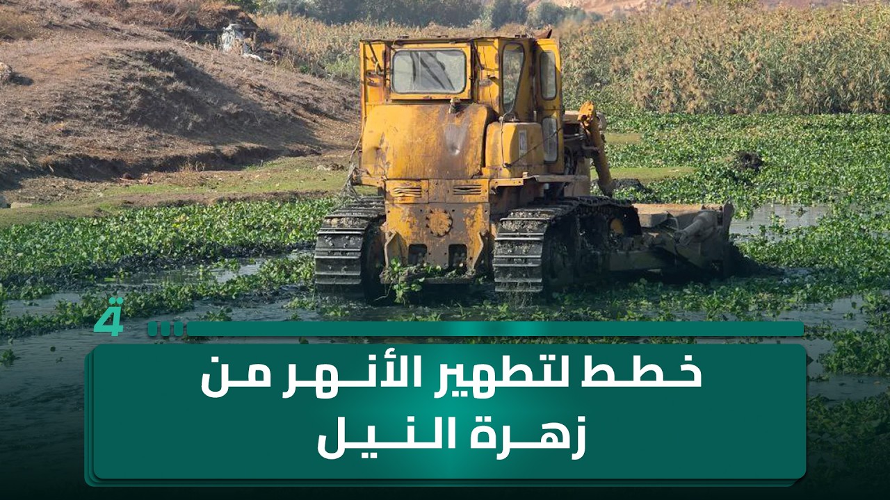 فيديو | 77 مليون مكالمة في كربلاء خلال أيام عاشوراء.. خطط لتطهير الأنهر من زهرة النيل
