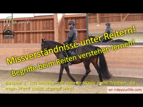 F155 Die Fachsprache deines Reitlehrers verstehen und beim Reiten am Pferd umsetzen lernen!