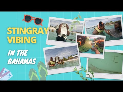 Princess Cruises Day 2: Stingray Experience in The Bahamas 🇧🇸