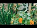 2K22 First Rain Illahi X Safarnama