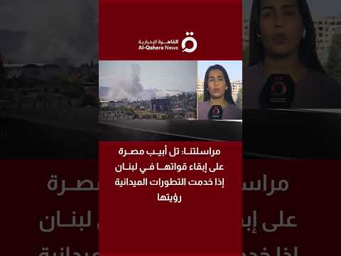 أبو شمسية: تل أبيب تصر على إبقاء قواتها في لبنان إذا خدمت التطورات الميدانية رؤيتها 