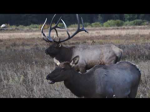 Watch Your Back - Wildlife Filmmaking