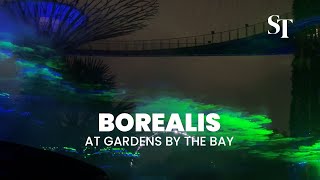 Borealis light installation at Gardens by the Bay