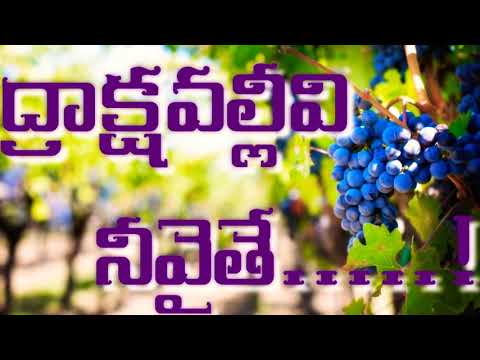 Drakshavallivi Neevaithe Lyrics Video Song// Warriors Of Christ Telugu Melodies