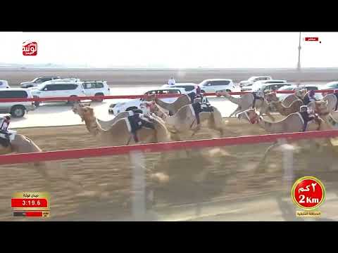 ش 9 (العبور) لـ محمد سالم بالهويمل العامري 5:46:96 ، مهرجان ختامي الوثبة 2026/02/27 حقايق