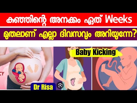 Baby Movement During Pregnancy Malayalam | Which Weeks Fetal Kick Start