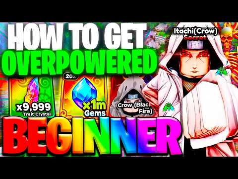 NEW Best BEGINNER'S Guide To Start Anime Expeditions!