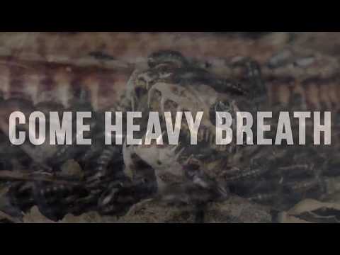 Violent Life Violent Death - Come, Heavy Breath [Official Video]