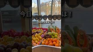 【Paris】新しいスーパー見つけた｜市場クオリティのMon Marchéがすごい #フランス生活#モノプリ#パリ在住 #フランス暮らし#parislifestylevideo
