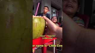 Cheap street food in Guayaquil, Ecuador 🇪🇨