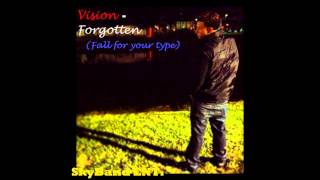 Vision- Forgotten (Fall for your type)