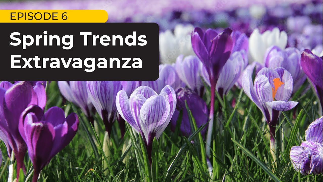 The Simply Smarter Webinar: S4EP6 - The Spring Trends Extravaganza