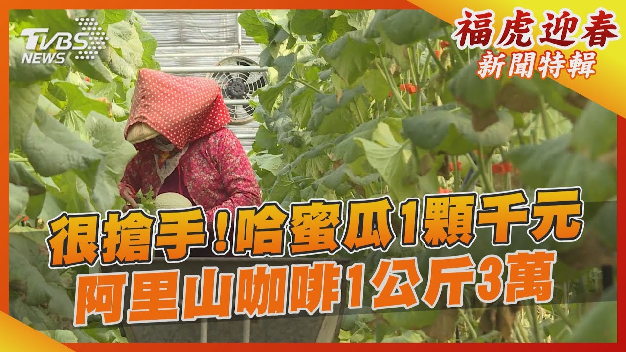 很搶手!哈蜜瓜1顆千元 阿里山咖啡1公斤3萬