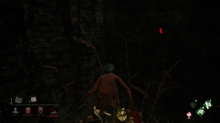 [DBD]久しぶりの戯れ