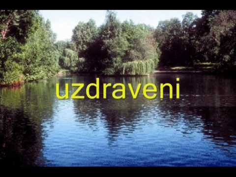 Můj Bůh uzdravuje + Ty jsi má záchrana  - Jiří Zmožek