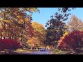 Scenic Drive Fall Foliage In Upstate New York Niskayuna Schenectady New York
