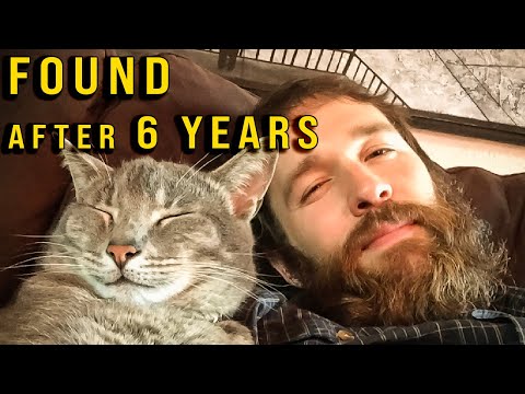 Watson Found After 6 Years — A Bittersweet Reunion
