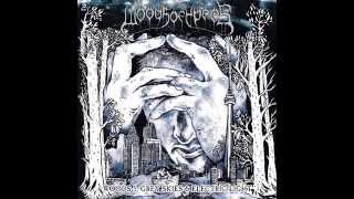 Woods of Ypres - Woods 5: Grey Skies & Electric Light (2012) Full Album