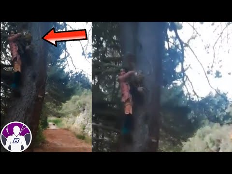 Los Vídeos De Terror Más Paranormales Captados Por Campistas Parte 3