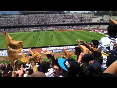 "la rebel (pumas vs tigres) las gallinas son asi 14 de abril 2013" Barra: La Rebel &bull; Club: Pumas