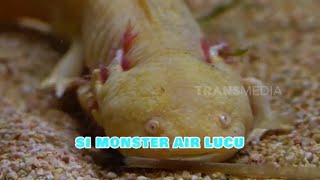 Download lagu Si Monster Air Lucu | SI OTAN (13/11/24) mp3