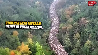 Download lagu Viral Pilot Drone Rekam Ular Raksasa Sepanjang 60 Meter Muncul di Lembah Amazon, Hebohkan Dunia... mp3