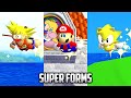 Super Mario 64 PC Port Super Forms V1