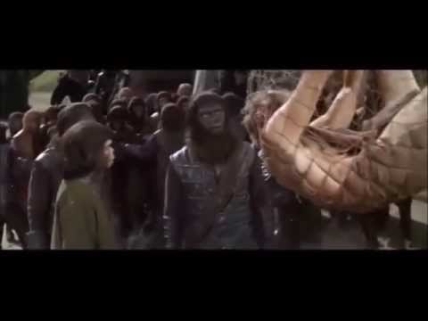 Planet der hässlichen Affen!