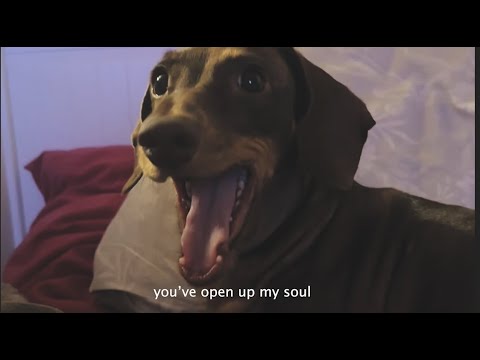 BECKO - ELLEN (PROD. BY PRYMUS)