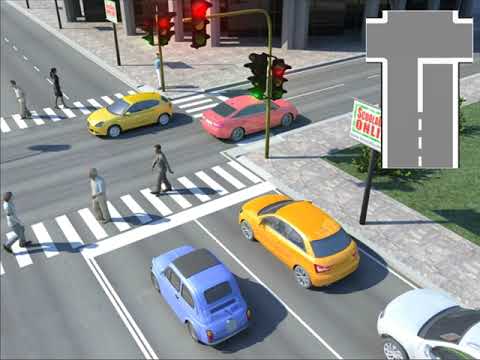 6 CAPITOLO \  Segnaletica Orizzontale \ PATENTE