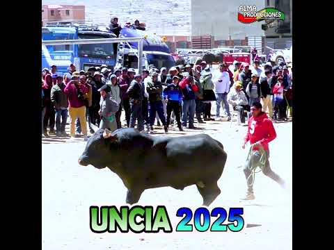 IX Toro Tinku Norte Potosino UNCIA 2025:"Timón-Maju Pampeño". #shorts  #almaproduccionesbolivia