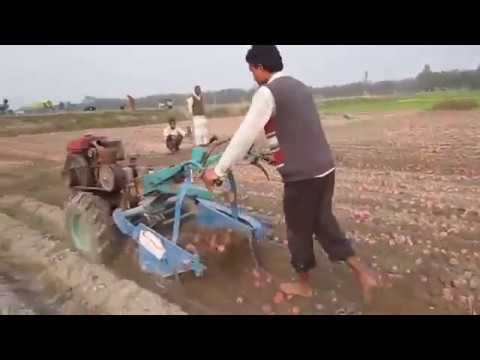 Potato Harvester