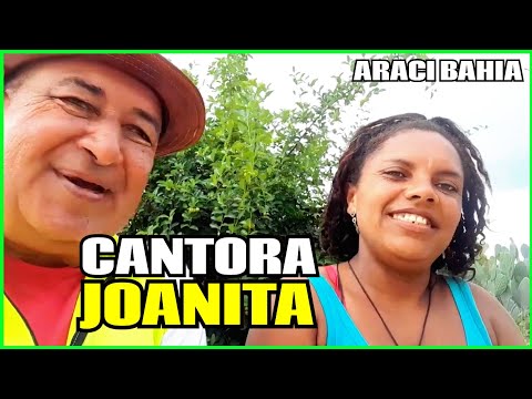 Apresentação da cantora e artista da Roça Joanita inchu do Rufino Araci Bahia