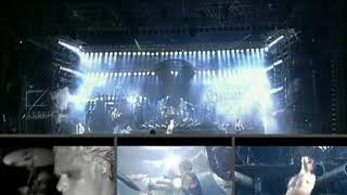 Rammstein - Tier Live aus Berlin fan cut (English lyrics)