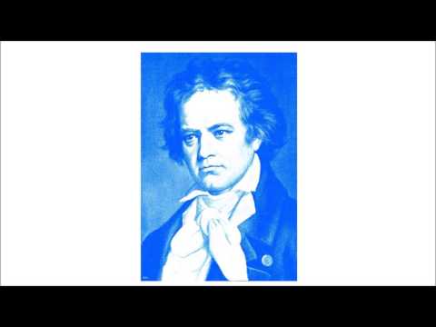 JAN VERMEULEN IL GARDELLINO LUDWIG VAN BEETHOVEN Quintet In E Op.16  I. Grave  Allegro ma non troppo