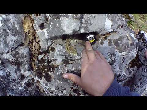 Eski Kervan Yolunda Define Arama Anı !!!