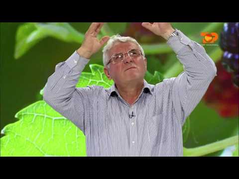 Ne Shtepine Tone, 8 Qershor 2016, Pjesa 2 - Top Channel Albania - Entertainment Show