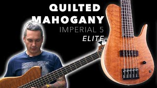 Video thumbnail for DEMO | Quilted Mahogany Imperial 5 Elite 🦋 by Fodera Guitars