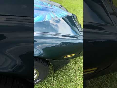 1979 Pontiac Firebird Trans Am (CC-2097359) for sale in Greenville, North Carolina