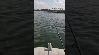 Emma Lake Topwater Strike! #fishing #topwater #pikes #saskatchewan