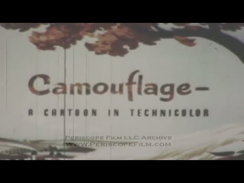 "CAMOUFLAGE"  WWII WALT DISNEY CARTOON   CAMOUFLAGE    ARMY AIR FORCES TRAINING FILM  2798