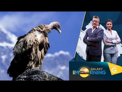 This Morning LIVE | 16 March 2023 | Galaxy This Morning