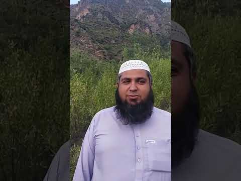 Robayee pa awaz da Nafees uddin