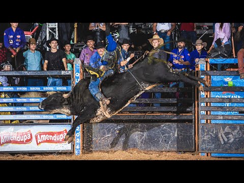 DISPUTA FINAL em TOUROS | Rodeio de QUINTANA-SP 2024 - ACR SUPER STARS