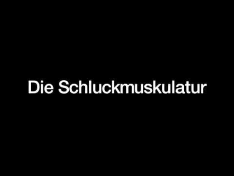Verlängerungsbürste in einem Gelenk Training nach wund Rückenmuskulatur