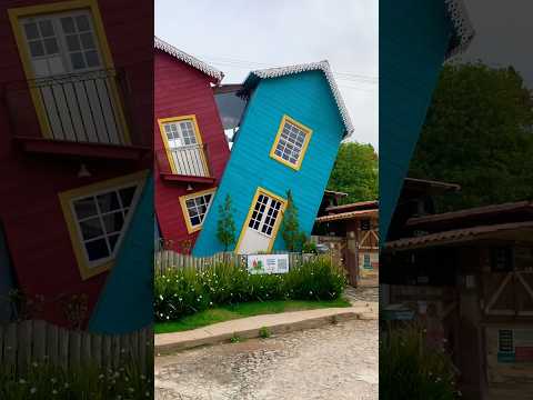 CASA TORTA EM BICHINHOS I PRADOS/MG