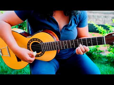 APRENDA A VACA JA FOI PRO BREJO - BATIDA E SOLO