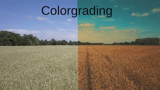 Professional Colorgrading | MVCNN