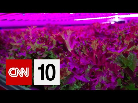 在海運貨櫃中養殖 (Farming In A Shipping Container)
